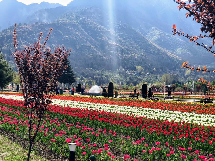Srinagar · Gulmarg · Pahalgam