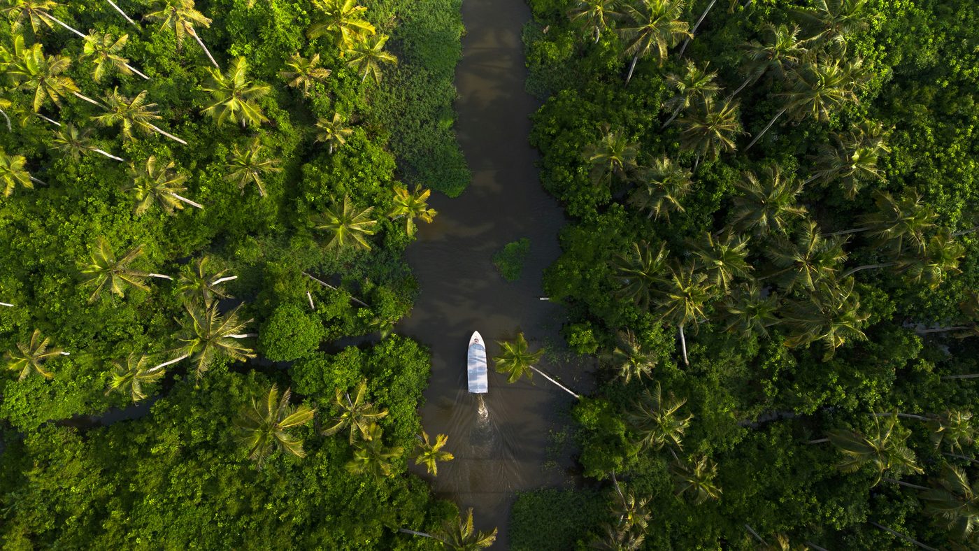 Munnar · Alleppey · Kochi